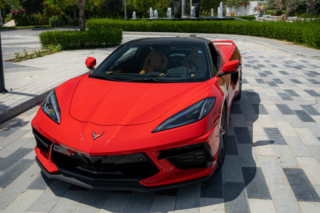 1704221427DSC08589-1 (1)